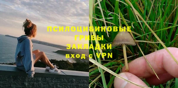 ПСИЛОЦИБИНОВЫЕ ГРИБЫ Армянск