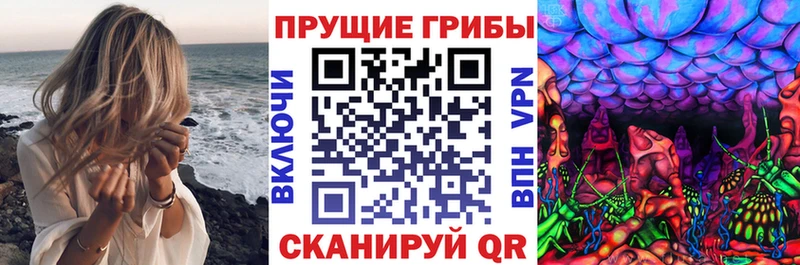 Галлюциногенные грибы ЛСД  Лесной 